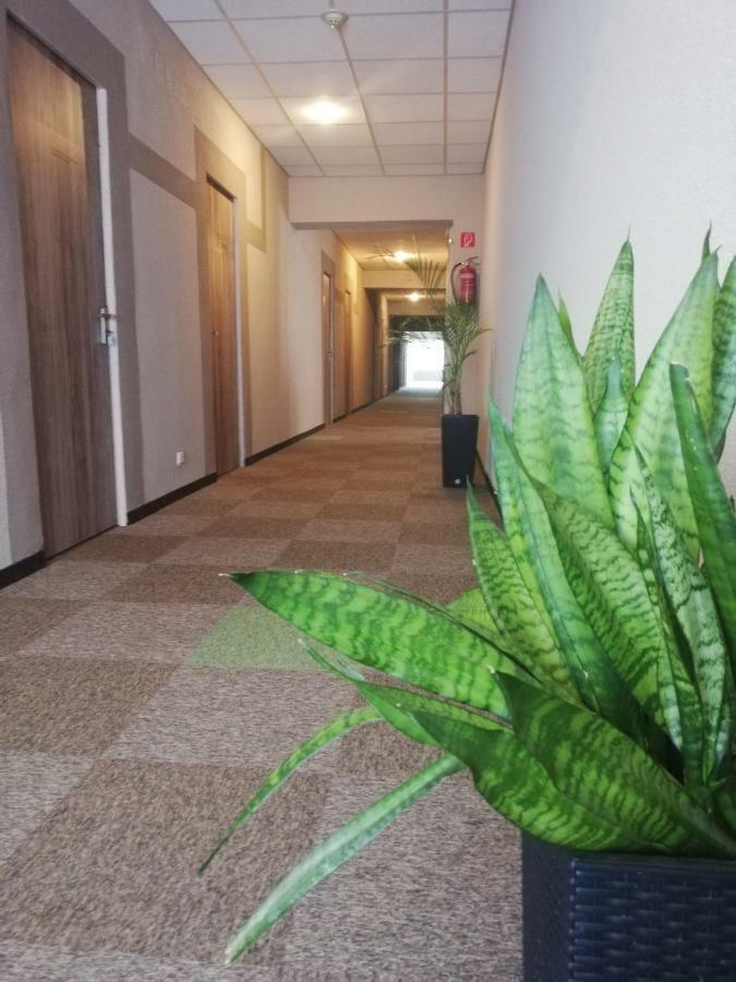 Tatabánya Sport Hotel מראה חיצוני תמונה